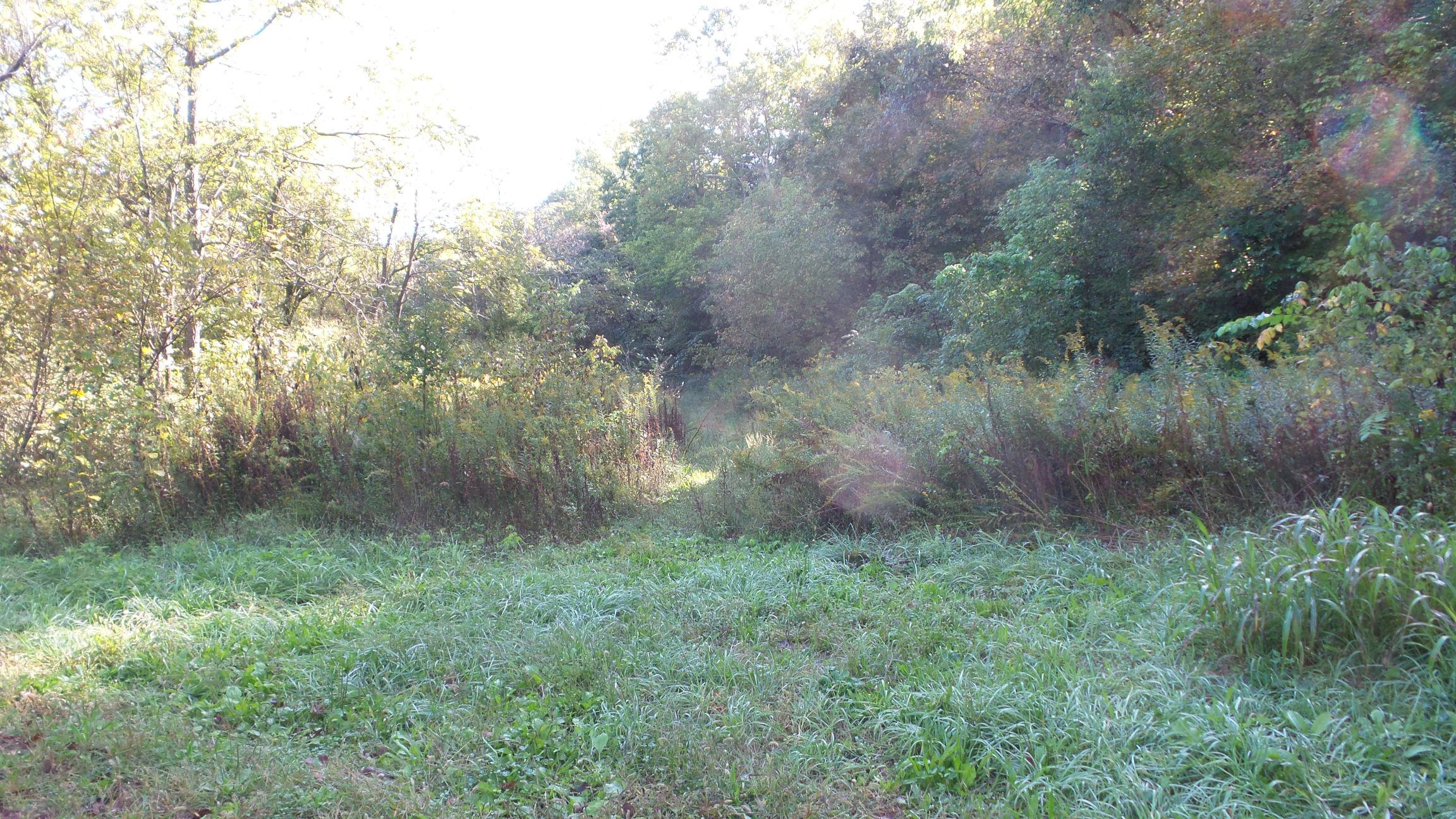 4128 Snyder Road Kodak, TN 37764 - Photo 4 of 20 20140926_060654