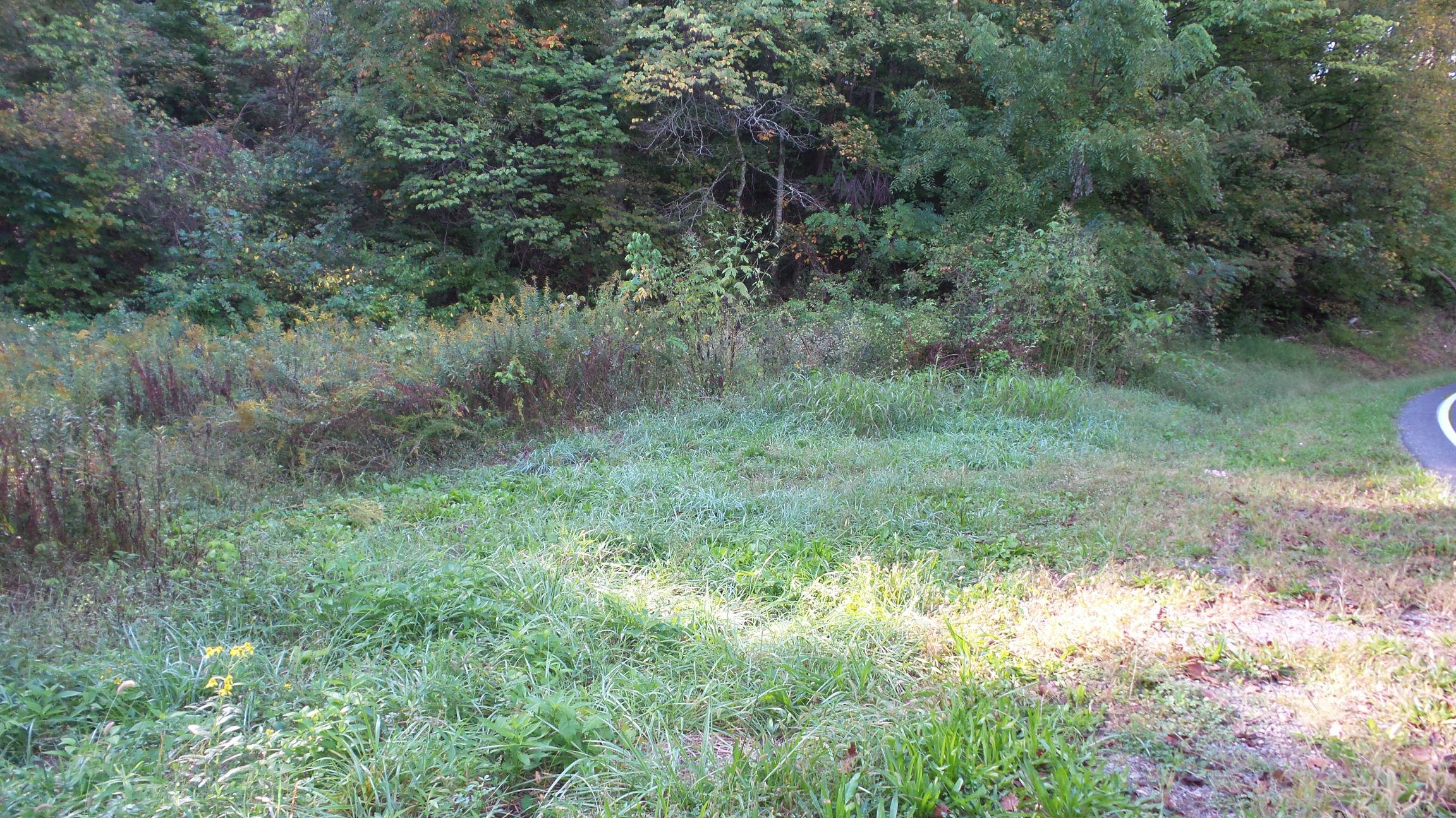 4128 Snyder Road Kodak, TN 37764 - Photo 5 of 20 20140926_060744