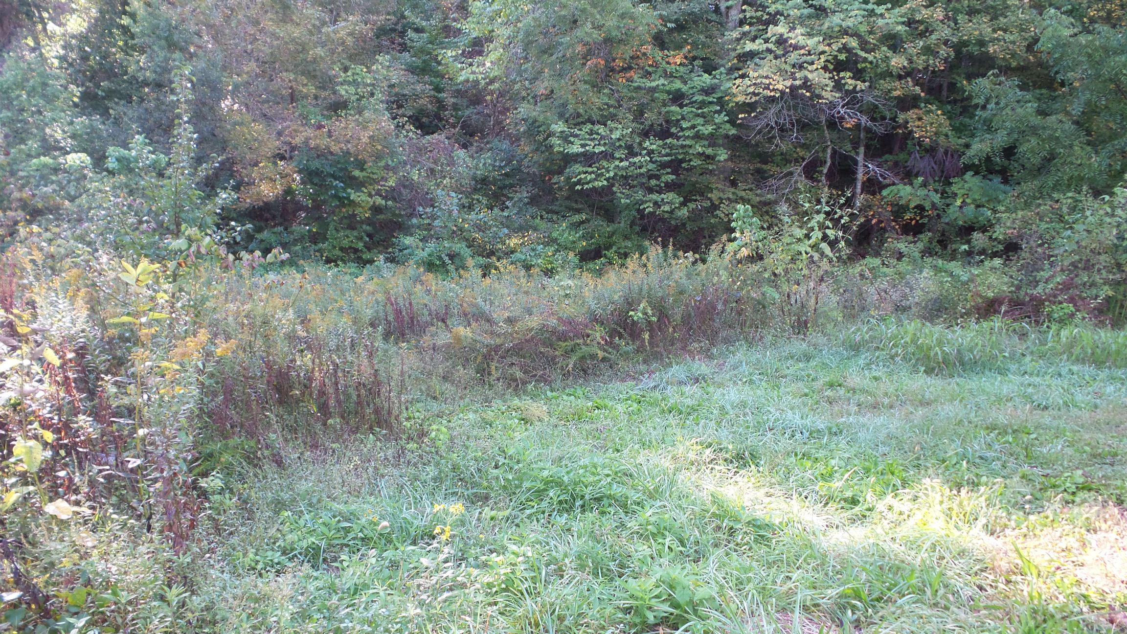 4128 Snyder Road Kodak, TN 37764 - Photo 6 of 20 20140926_060747