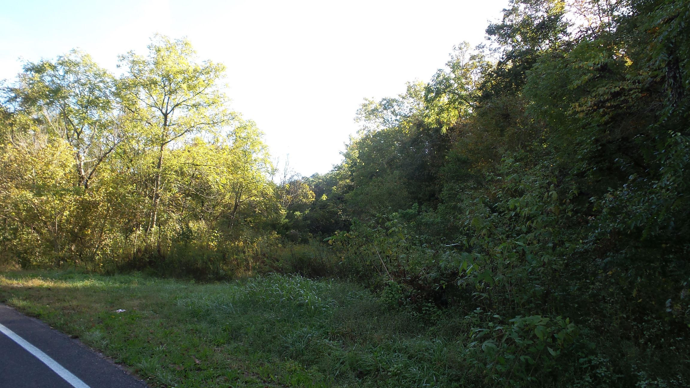 4128 Snyder Road Kodak, TN 37764 - Photo 7 of 20 20140926_060630