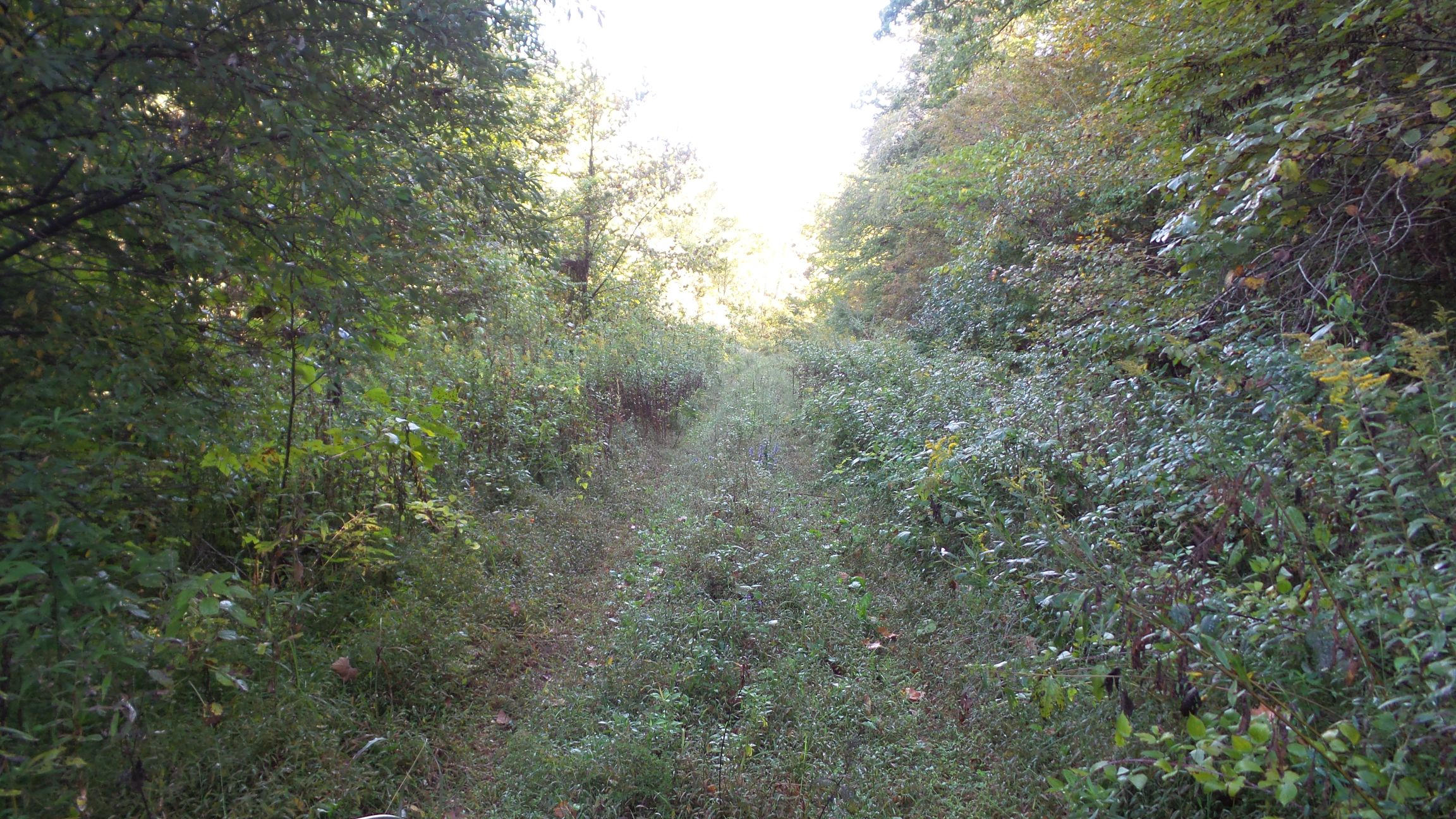 4128 Snyder Road Kodak, TN 37764 - Photo 8 of 20 20140926_062533