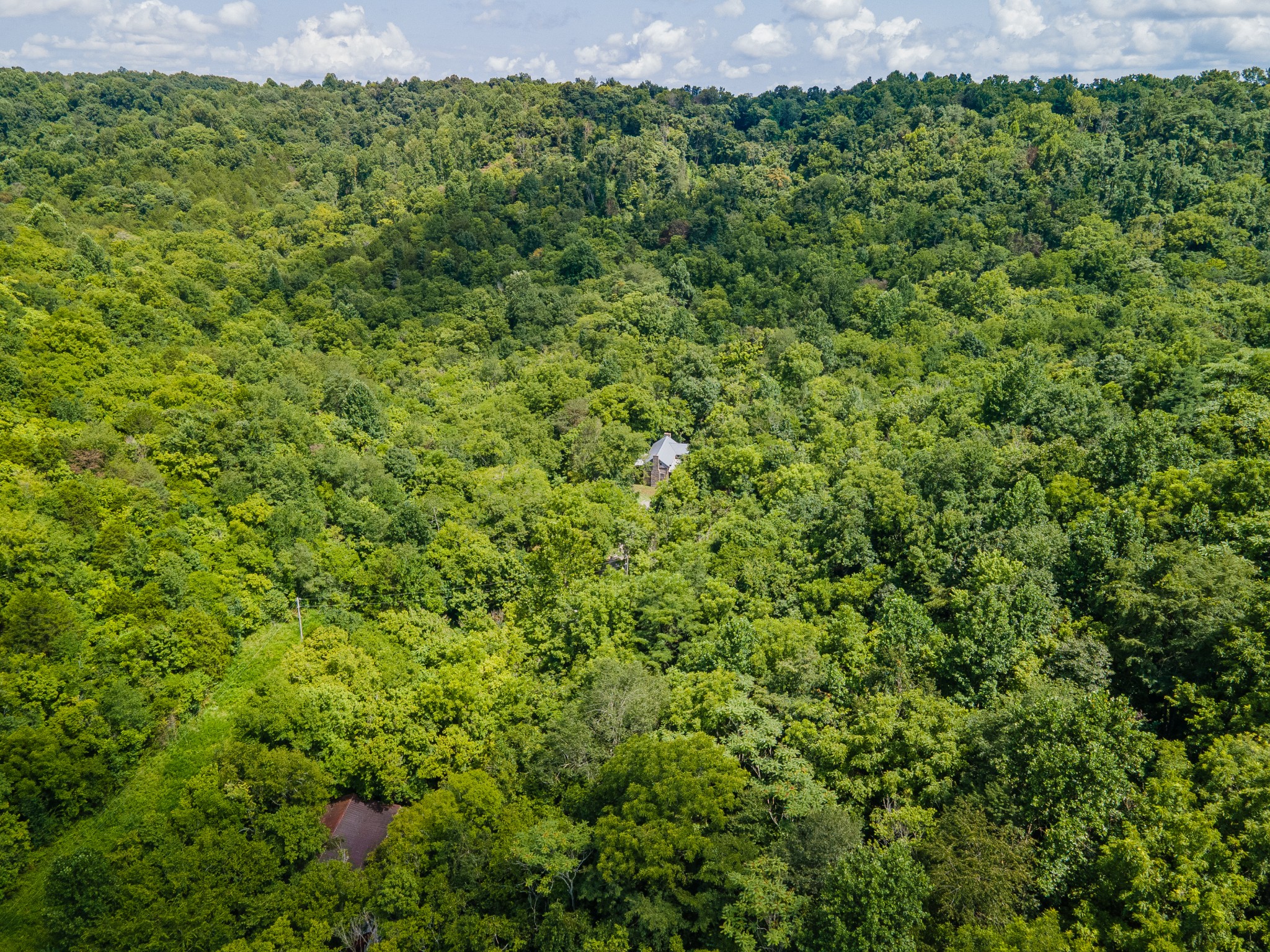 1700 Allen Brown Road Lewisburg, TN 37091 - Photo 29 of 80