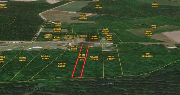 $11,000 | 0 Maple Branch Road, Unit ROAD, Reevesville, SC 29471