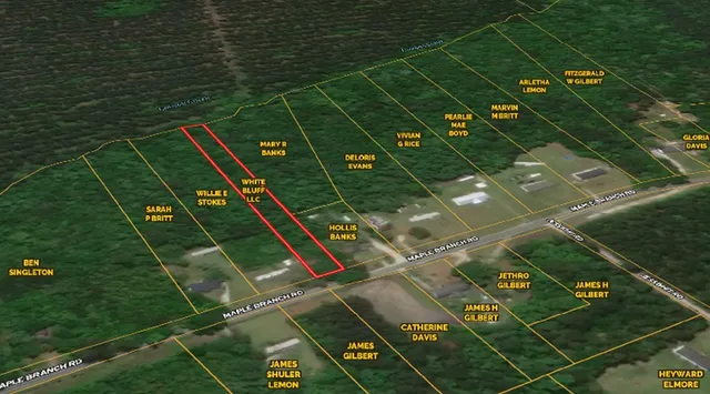 $11,000 | 0 Maple Branch Road, Unit ROAD, Reevesville, SC 29471