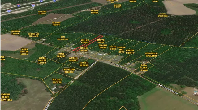 $11,000 | 0 Maple Branch Road, Unit ROAD, Reevesville, SC 29471