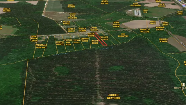 $11,000 | 0 Maple Branch Road, Unit ROAD, Reevesville, SC 29471