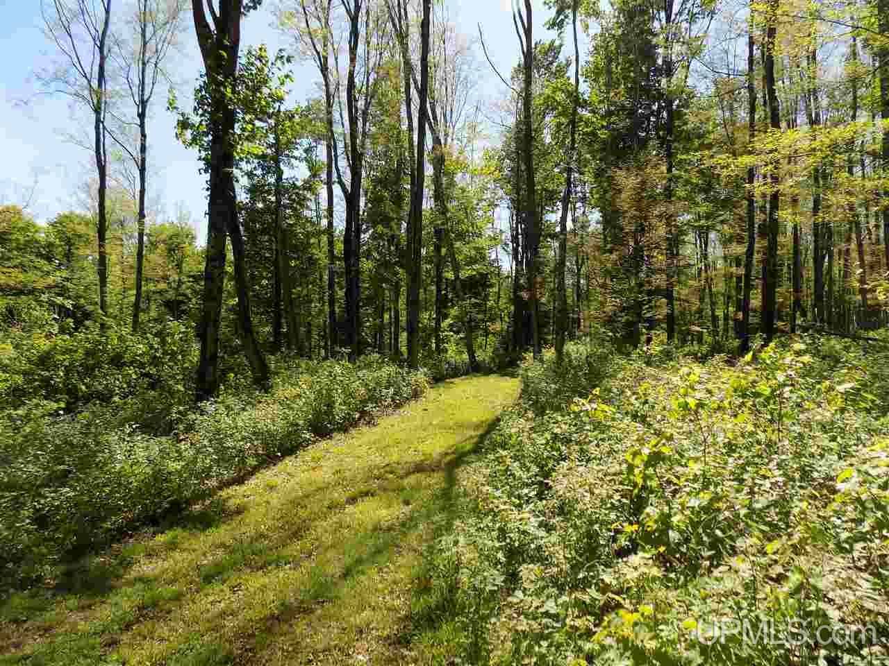 Tbd 160 Acres Camp 23 Road Gulliver, MI 49840 - Photo 8 of 48