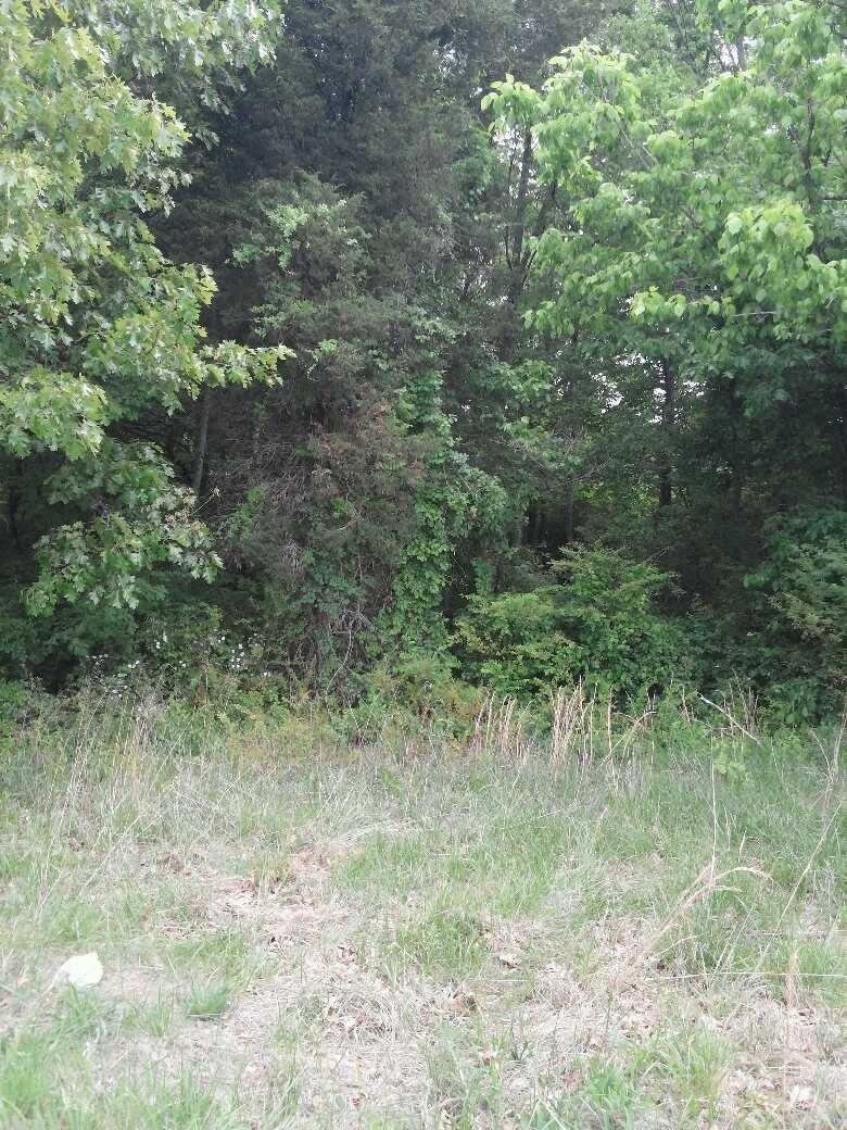 Henegar Road Corryton, TN 37721 - Photo 2 of 3 picture 1