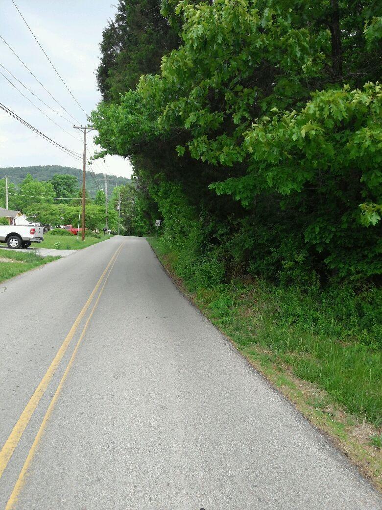 Henegar Road Corryton, TN 37721 - Photo 3 of 3 Picture 2