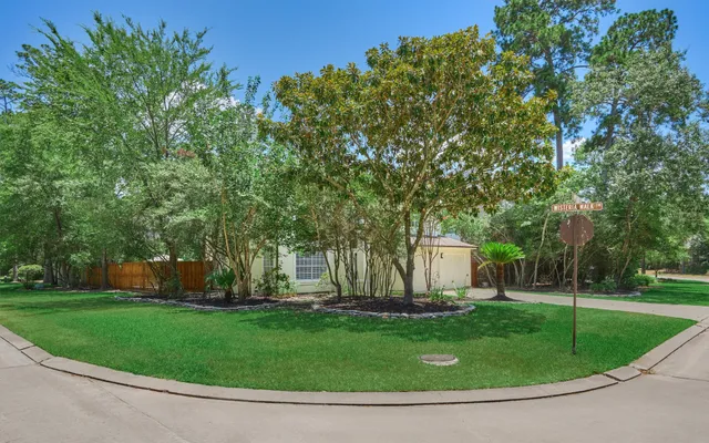 a view of a park with large trees