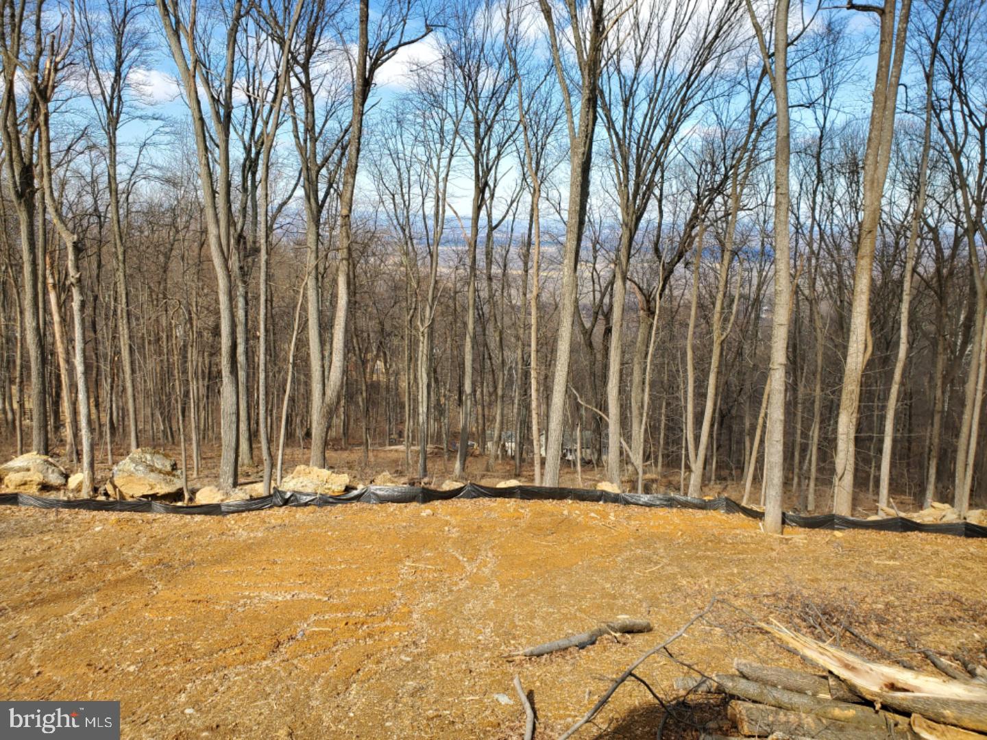 289 Wilderness Road Linden, VA 22642 - Photo 3 of 14