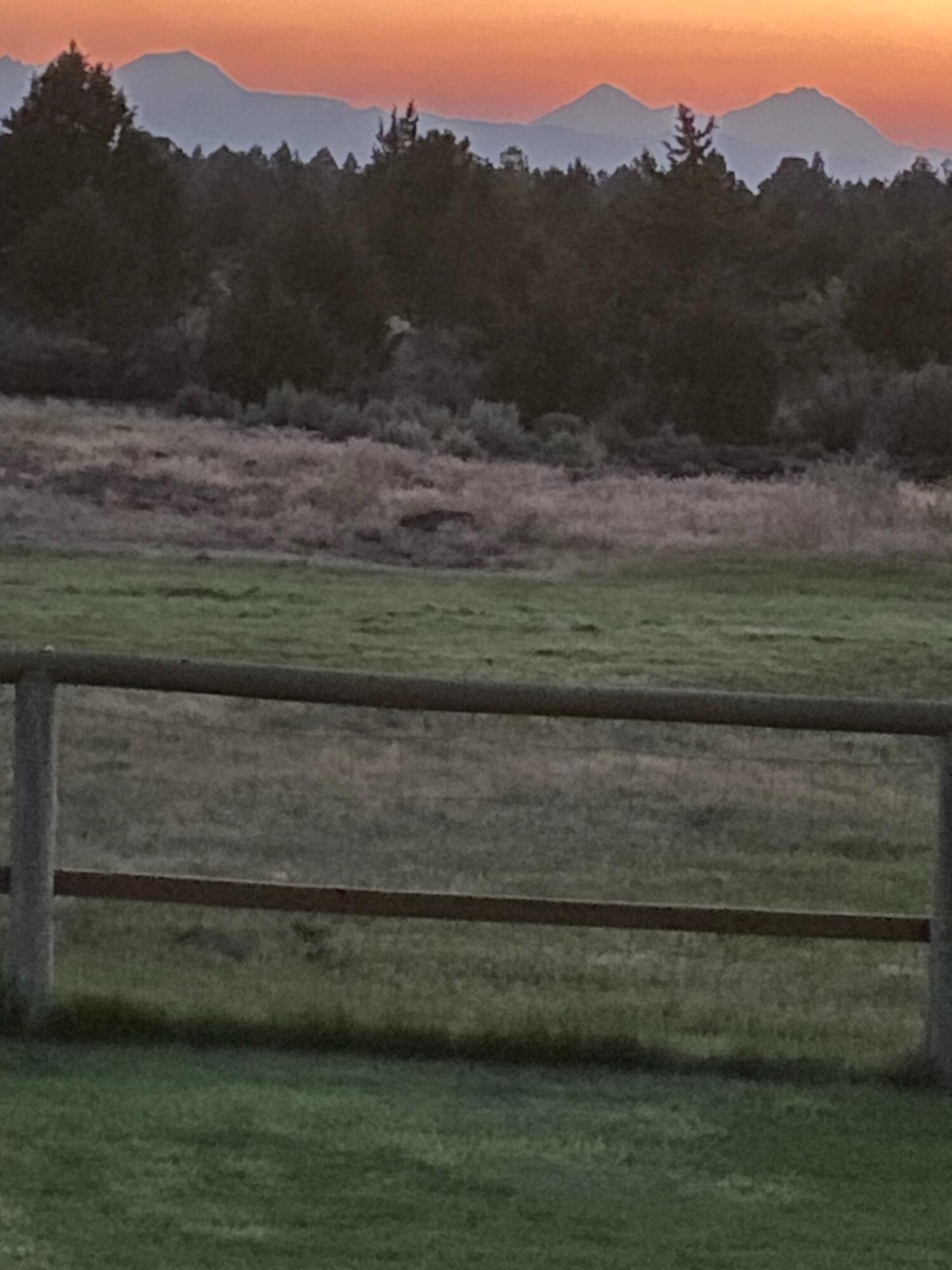 22390 McArdle Road Bend, OR 97702 - Photo 6 of 55 IMG_2109