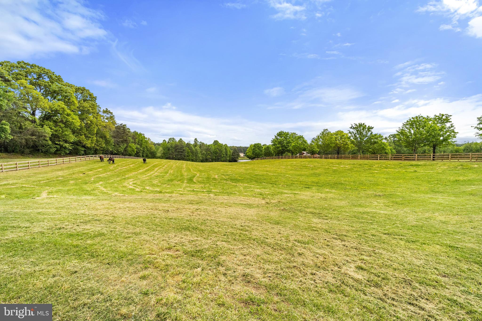2100 Hawk Town Road Maidens, VA 23102 - Photo 73 of 85