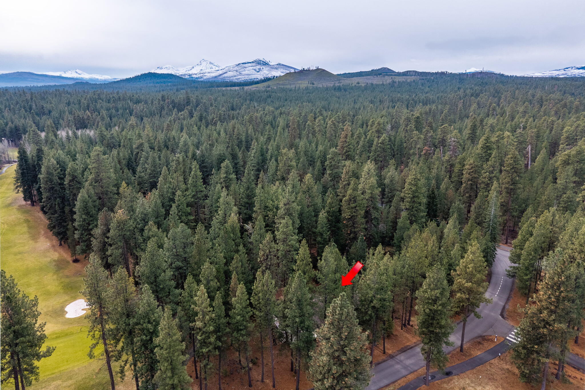 13168 Hawks Beard Black Butte Ranch, OR 97759 - Photo 46 of 47 a view of a houses with a lush green forest