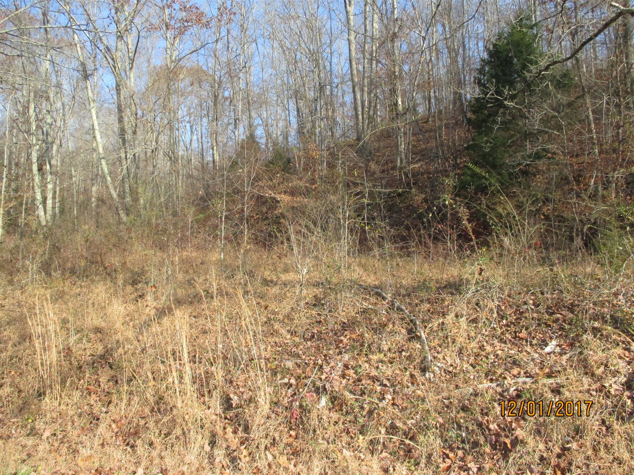 0 Choates Creek Road Lawrenceburg, TN 38464 - Photo 1 of 10 2.93 Acre+/- Lot on Choates Creek Road. In Giles County with a Lawrenceburg, Tn mailing Address