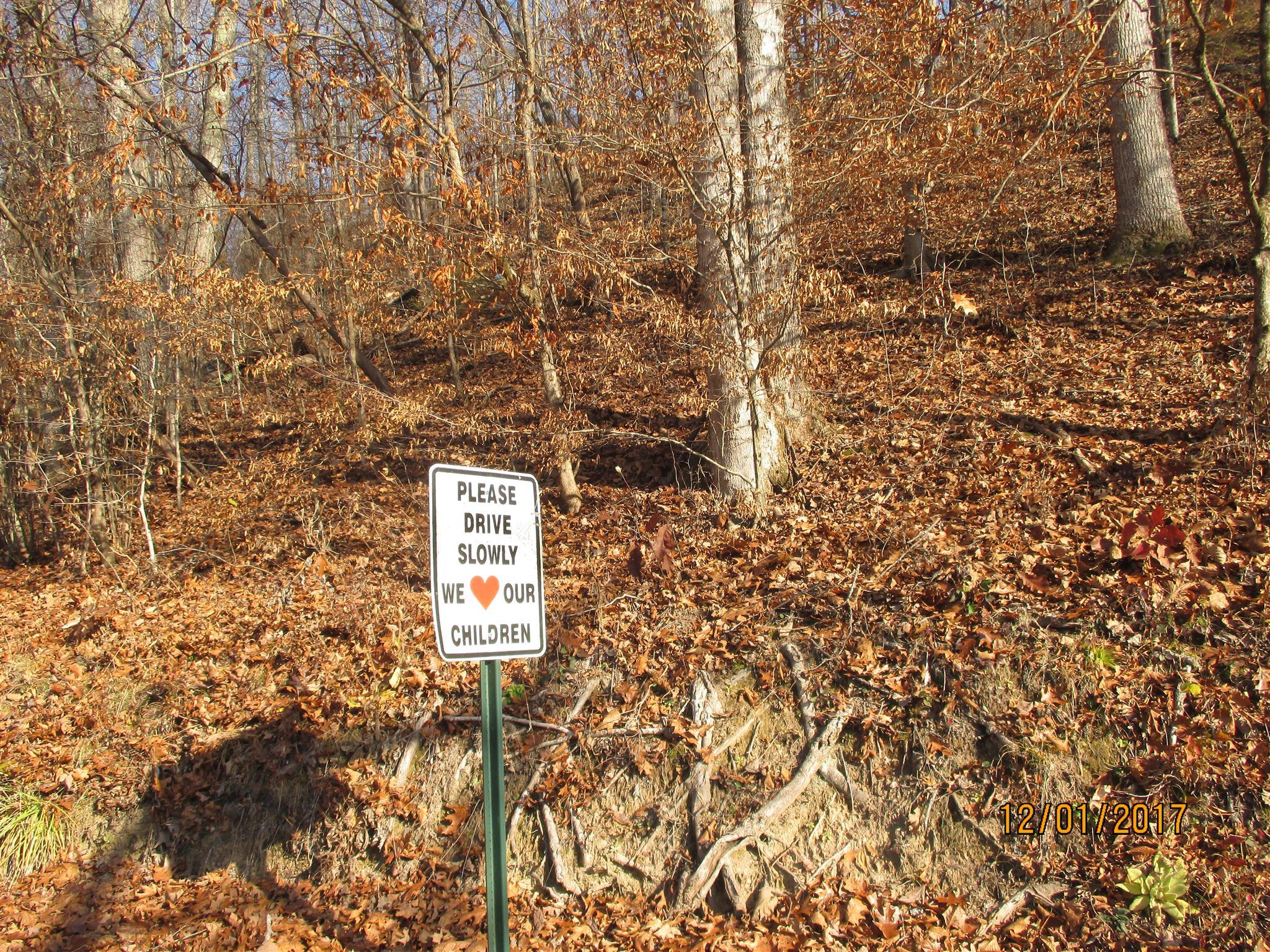0 Choates Creek Road Lawrenceburg, TN 38464 - Photo 3 of 10 2.93 Acre+/- Lot on Choates Creek Road. In Giles County with a Lawrenceburg, Tn mailing Address