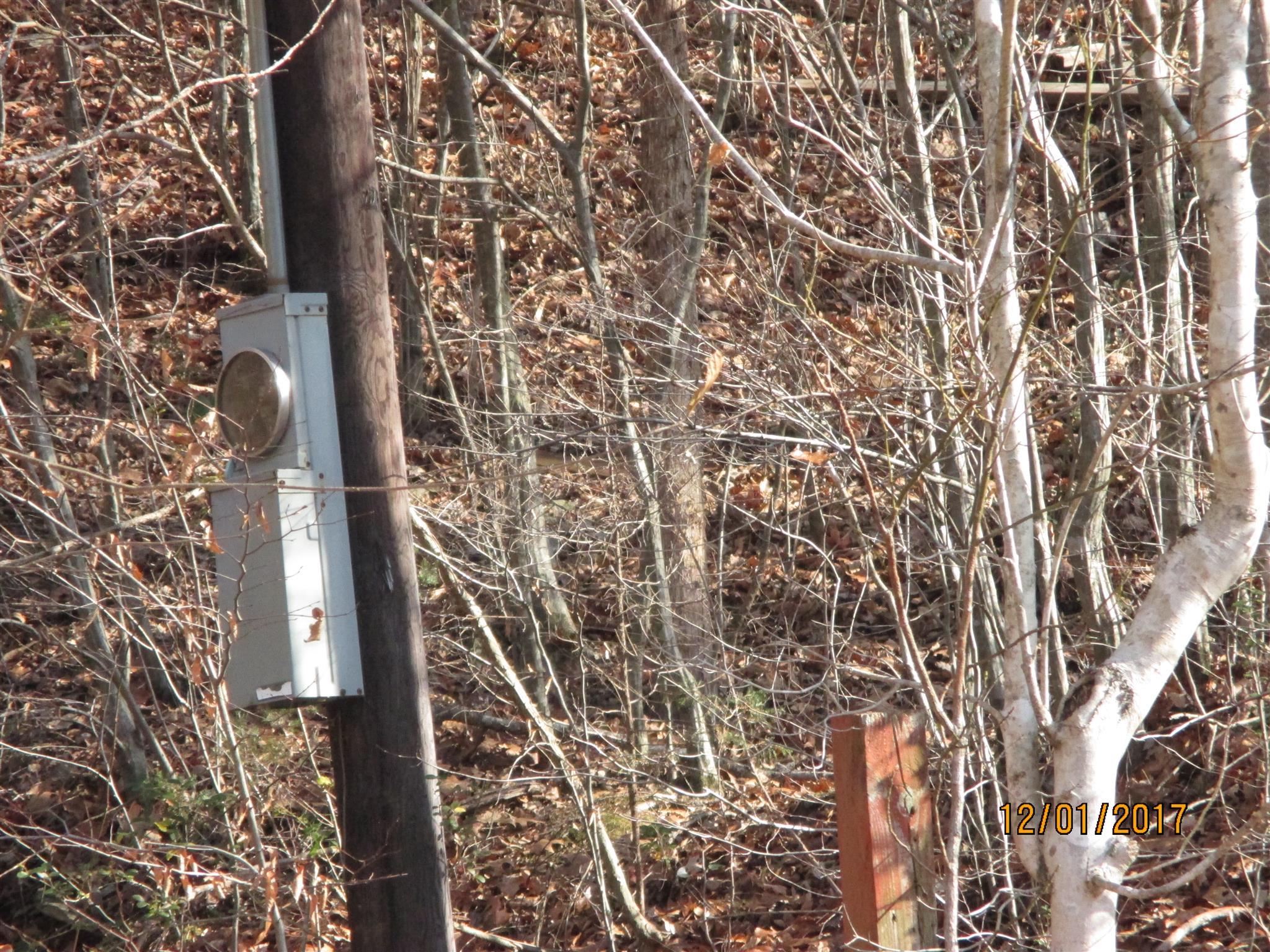 0 Choates Creek Road Lawrenceburg, TN 38464 - Photo 4 of 10 Old Pole and Meter Box that was once used for a mobile home.