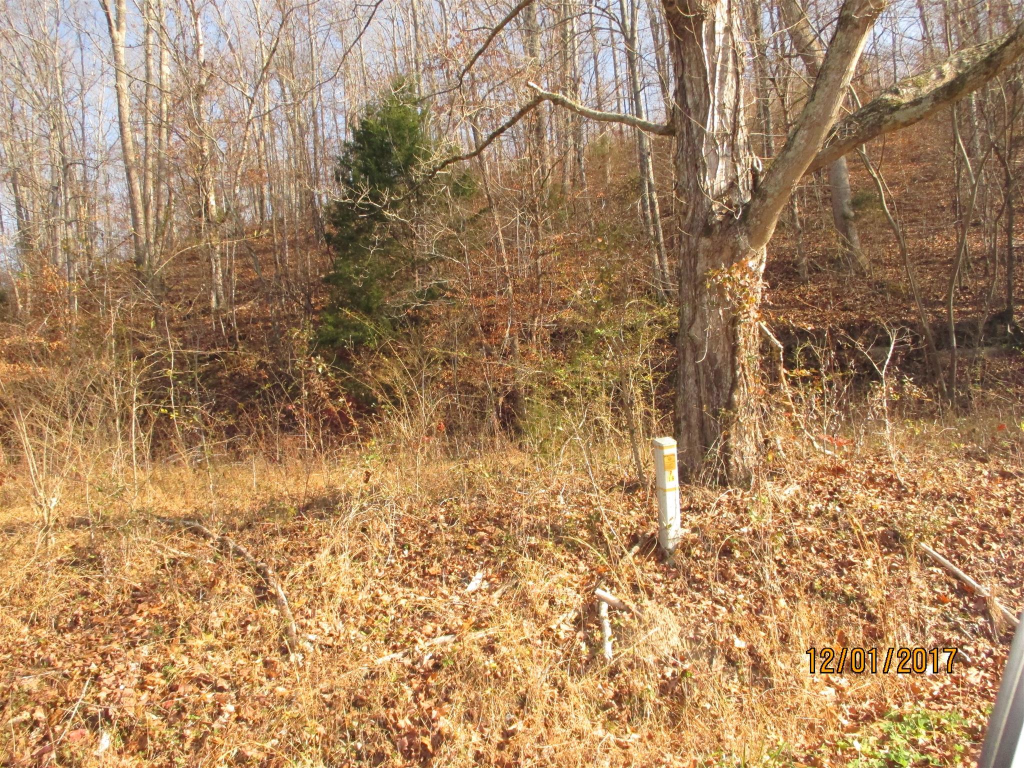 0 Choates Creek Road Lawrenceburg, TN 38464 - Photo 5 of 10 2.93 Acre+/- Lot on Choates Creek Road. In Giles County with a Lawrenceburg, Tn mailing Address