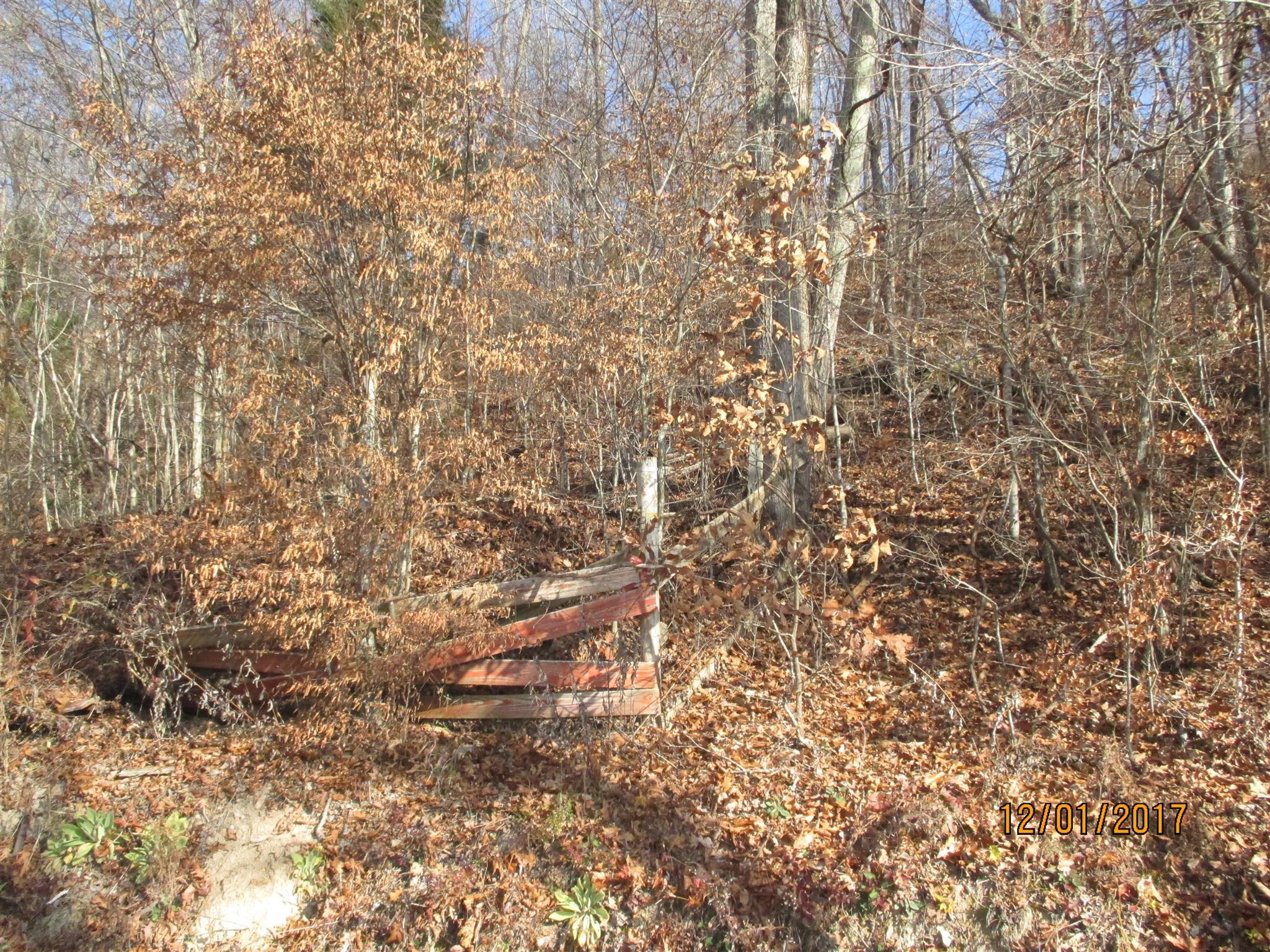 0 Choates Creek Road Lawrenceburg, TN 38464 - Photo 7 of 10 2.93 Acre+/- Lot on Choates Creek Road. In Giles County with a Lawrenceburg, Tn mailing Address
