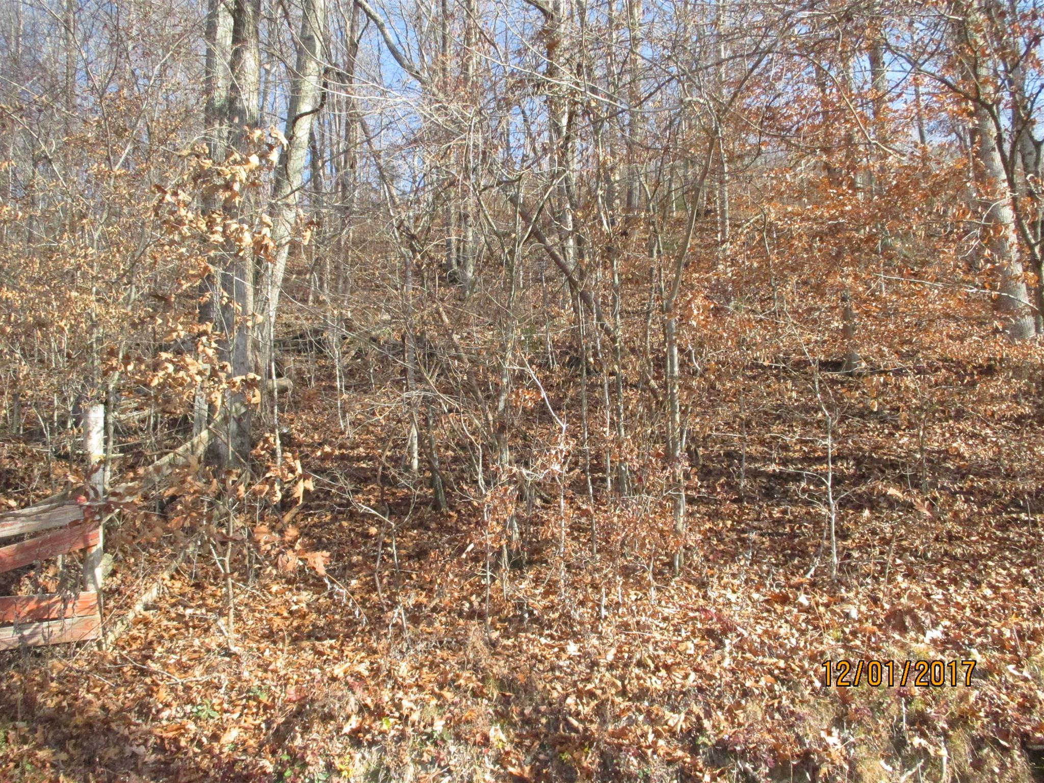 0 Choates Creek Road Lawrenceburg, TN 38464 - Photo 10 of 10 Gallery Image 10