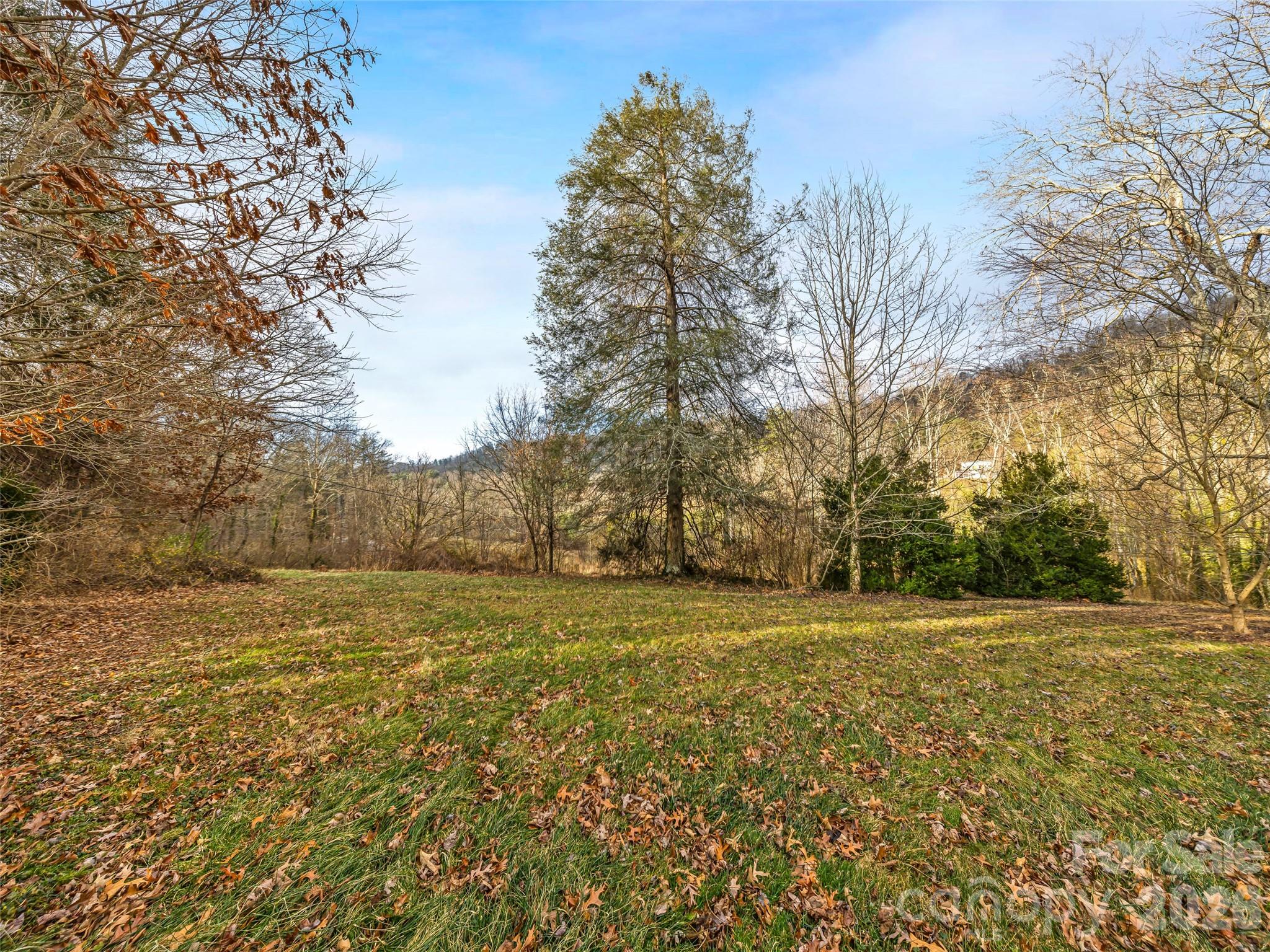 385 Chunns Cove Road Asheville, NC 28805 - Photo 4 of 23
