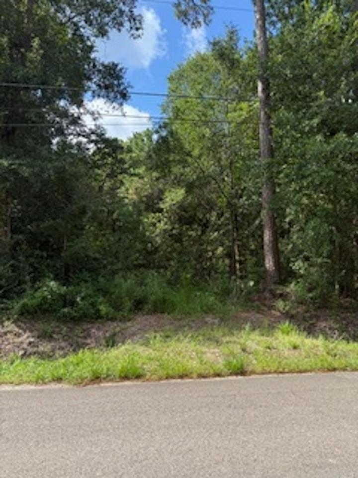 510 Spoonemore Road Vidor, TX 77662 - Photo 2 of 7