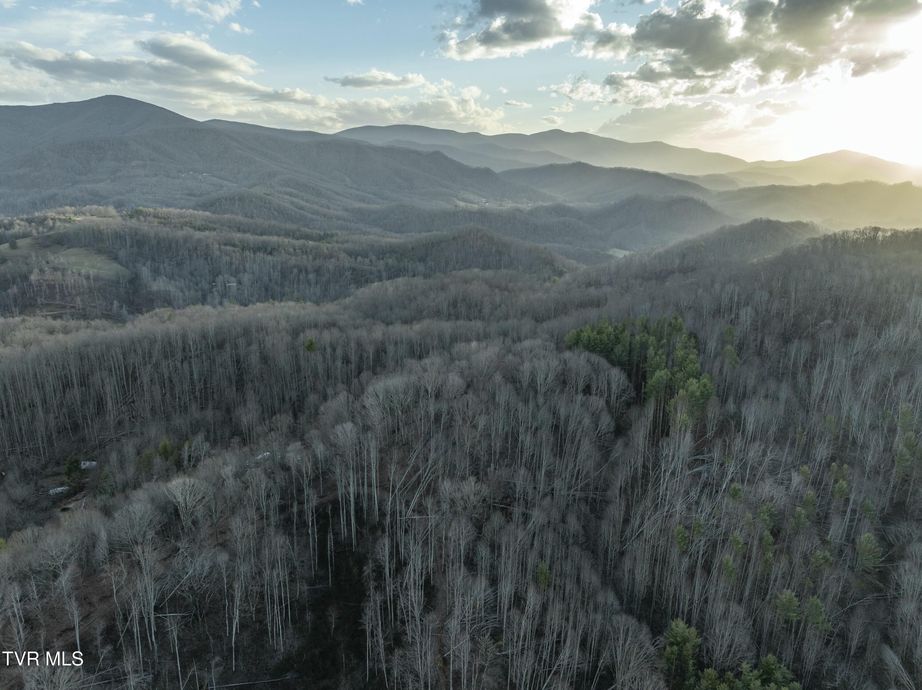 Tbd Buck Mountain Road, Unit 1 Roan Mountain, TN 37687 - Photo 11 of 20 tempImageHvtaJ5