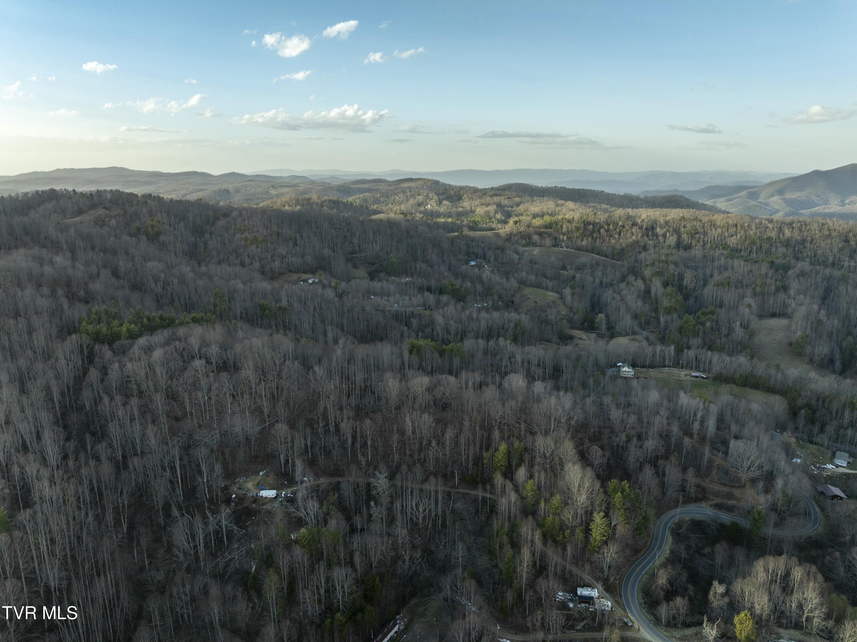 Tbd Buck Mountain Road, Unit 1 Roan Mountain, TN 37687 - Photo 16 of 20 tempImageHbzbsM
