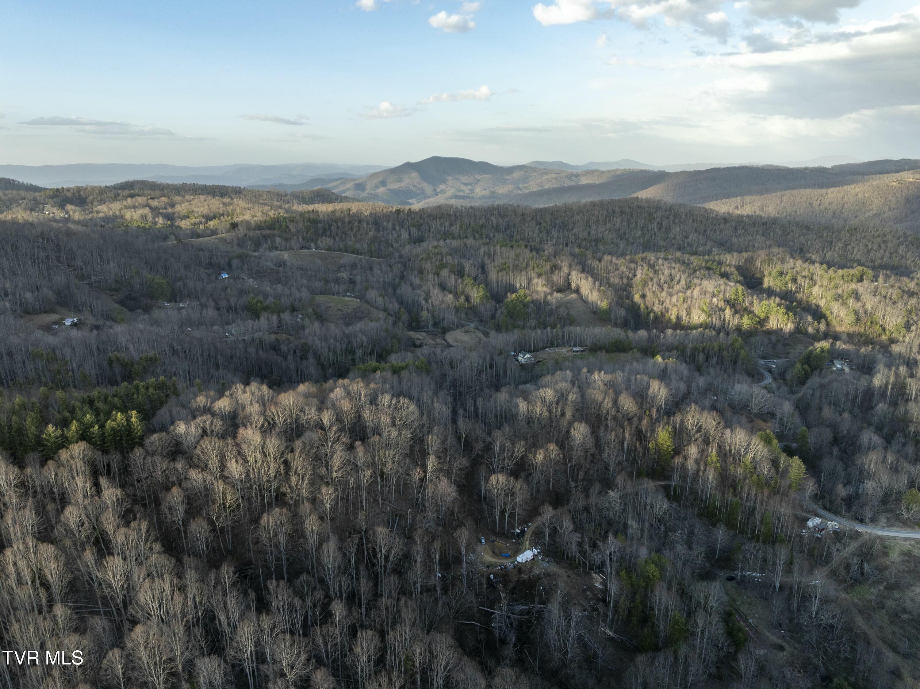 Tbd Buck Mountain Road, Unit 1 Roan Mountain, TN 37687 - Photo 17 of 20 tempImage9bIiUf