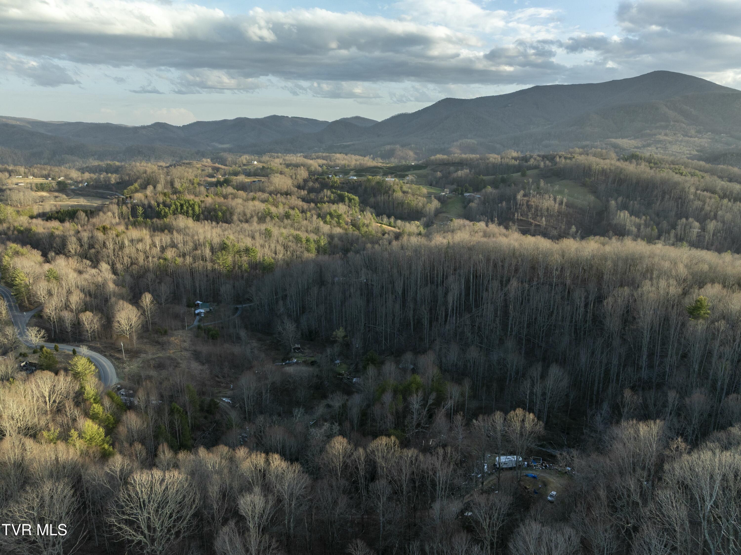 Tbd Buck Mountain Road, Unit 1 Roan Mountain, TN 37687 - Photo 18 of 20 tempImageHnfg27