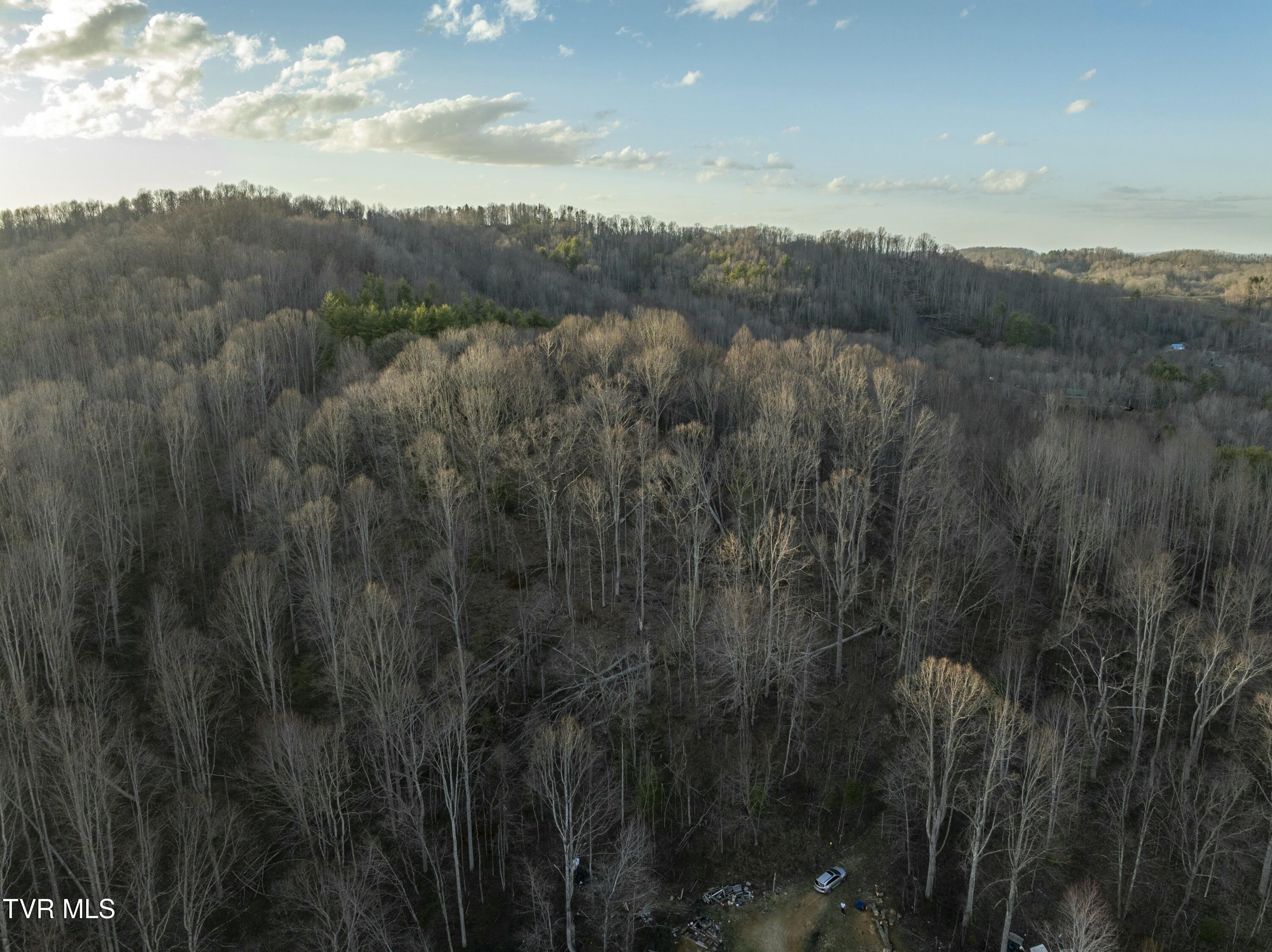 Tbd Buck Mountain Road, Unit 1 Roan Mountain, TN 37687 - Photo 20 of 20 tempImageiP6g2f