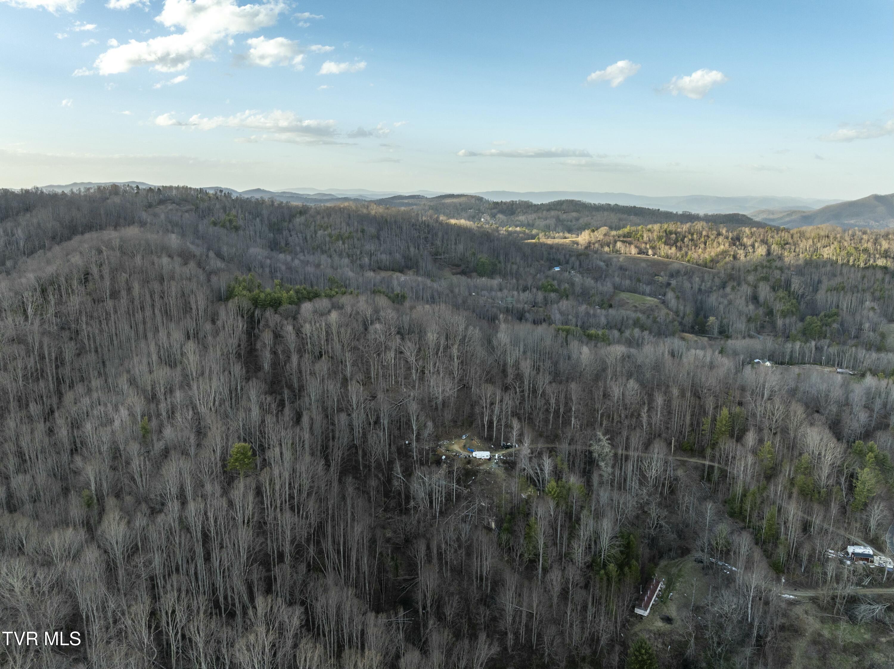 Tbd Buck Mountain Road, Unit 1 Roan Mountain, TN 37687 - Photo 6 of 20 tempImagey42pgf