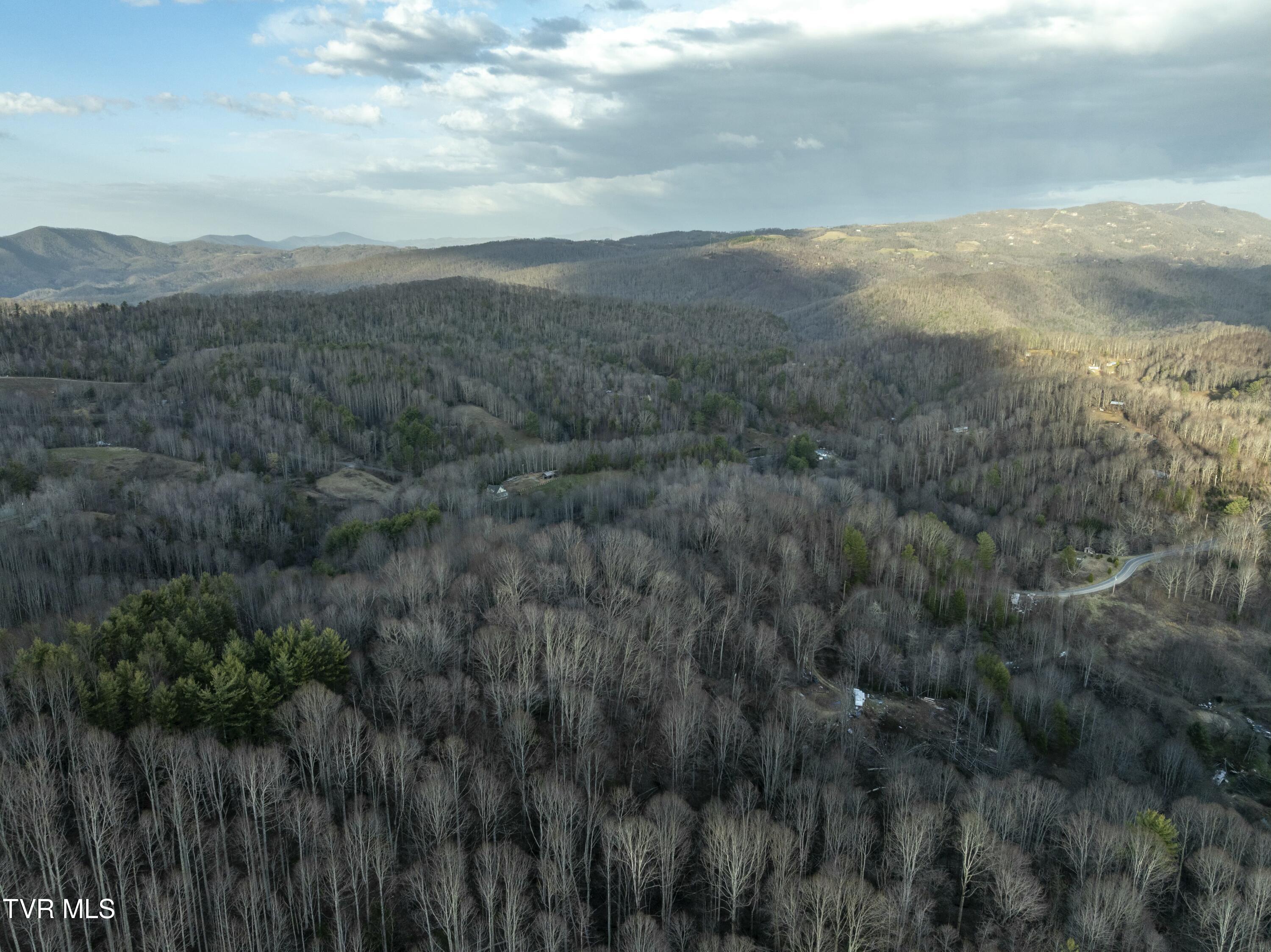 Tbd Buck Mountain Road, Unit 1 Roan Mountain, TN 37687 - Photo 7 of 20 tempImageQsgkFb