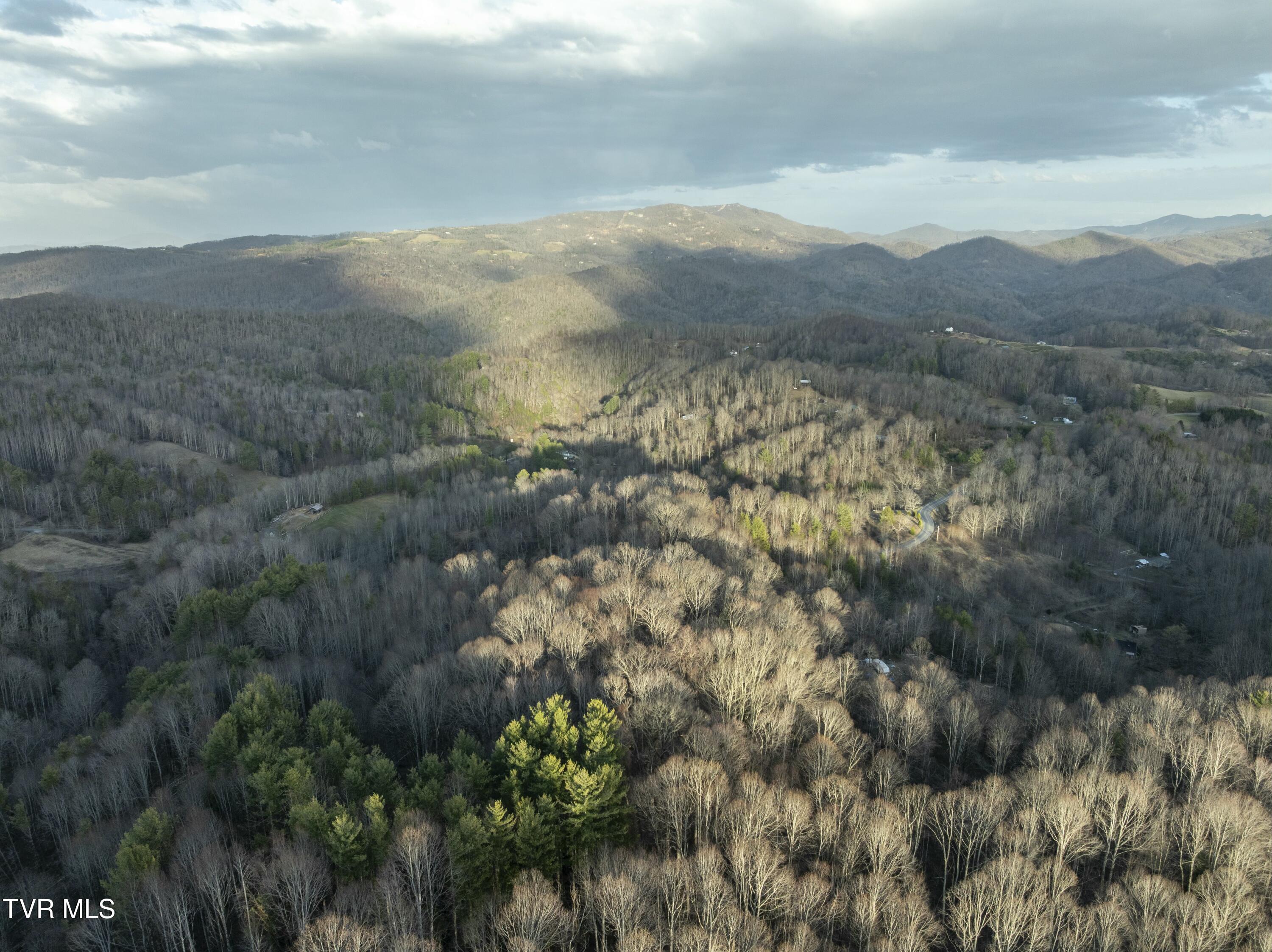 Tbd Buck Mountain Road, Unit 1 Roan Mountain, TN 37687 - Photo 8 of 20 tempImageeC3vno