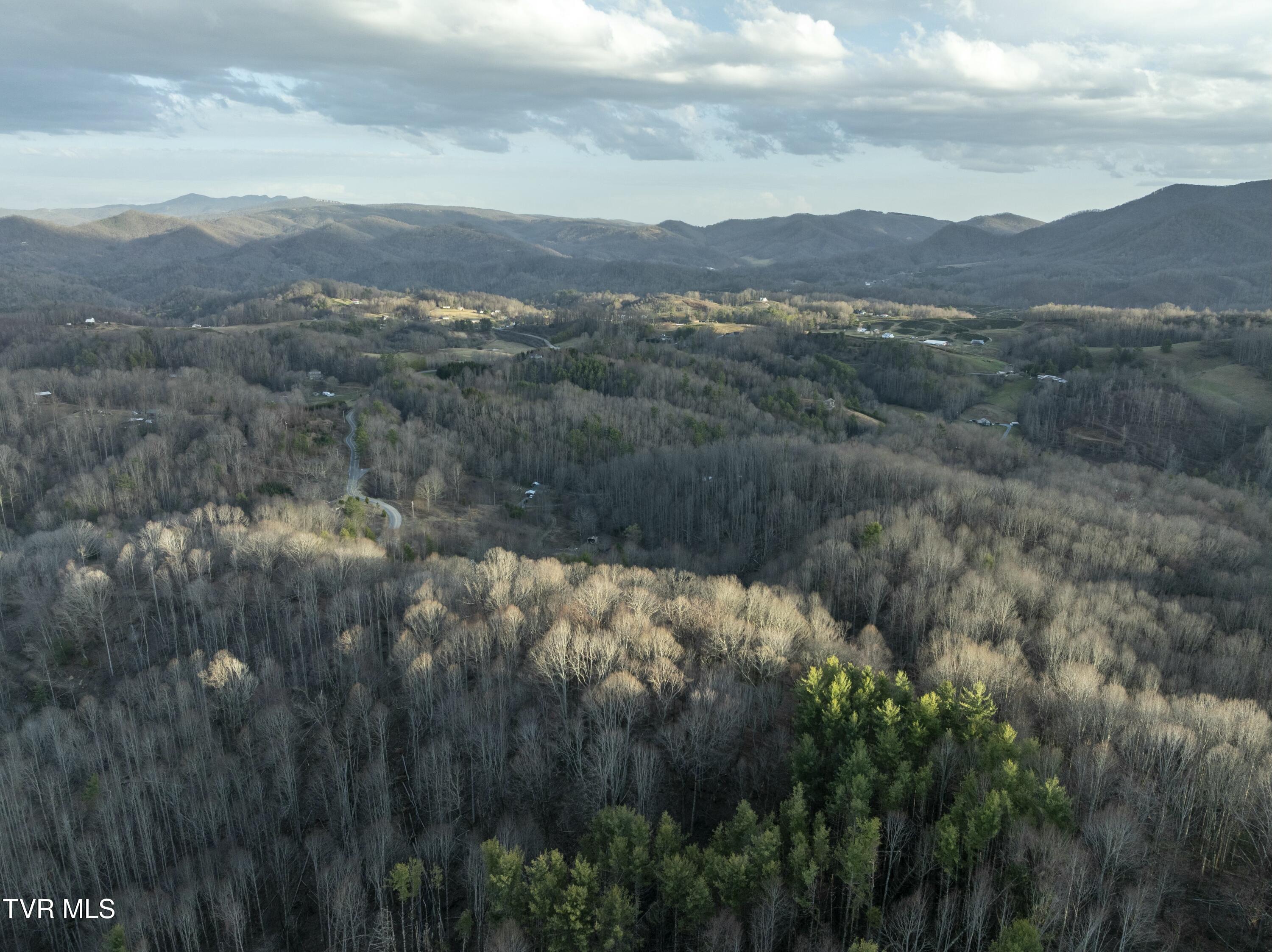 Tbd Buck Mountain Road, Unit 1 Roan Mountain, TN 37687 - Photo 9 of 20 tempImageNKET1G