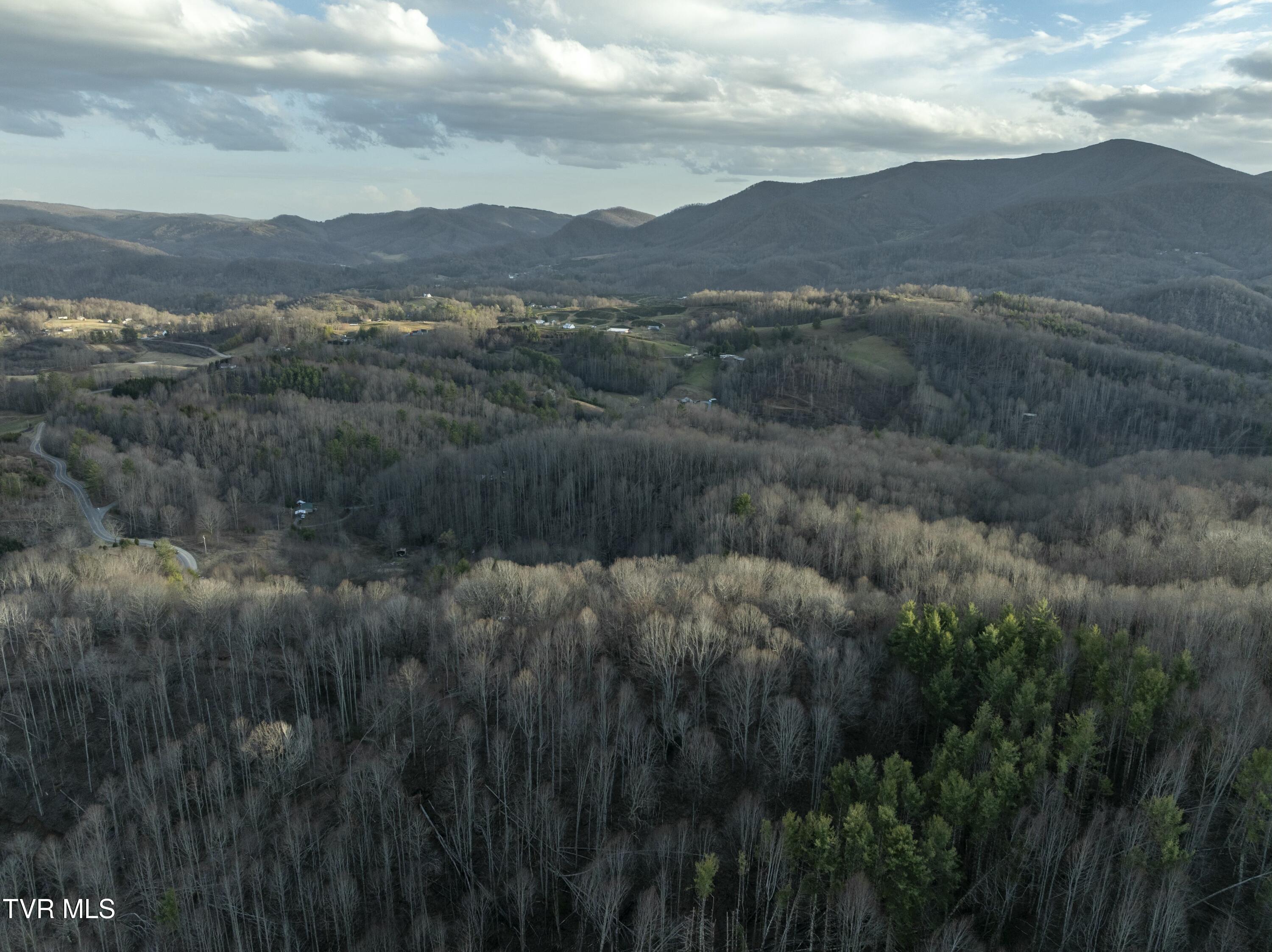 Tbd Buck Mountain Road, Unit 1 Roan Mountain, TN 37687 - Photo 10 of 20 tempImageptvzFy