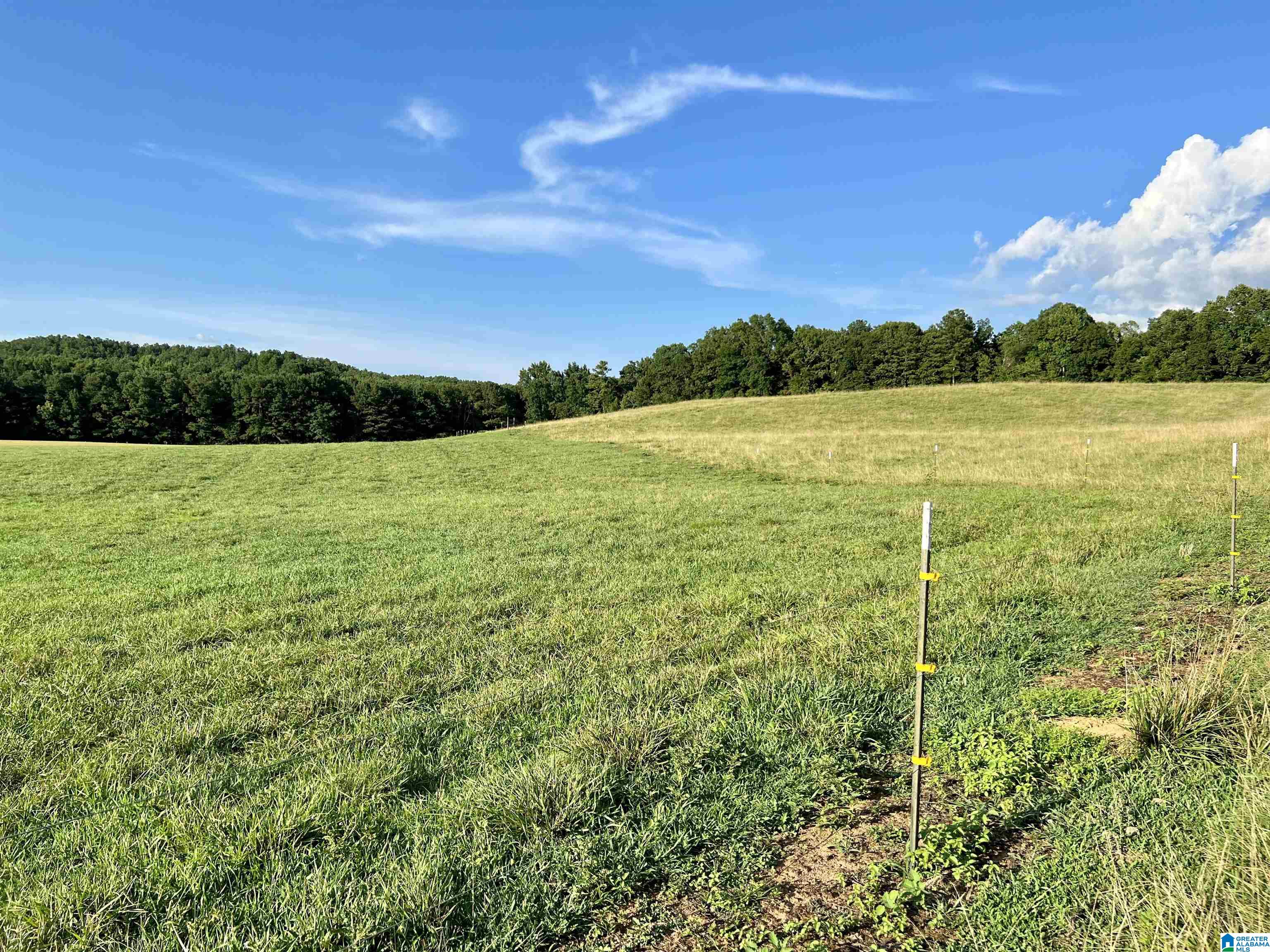 1515 Kelly Ranch Road, Unit 138 ACRES / Talladega, AL 35160 - Photo 6 of 42