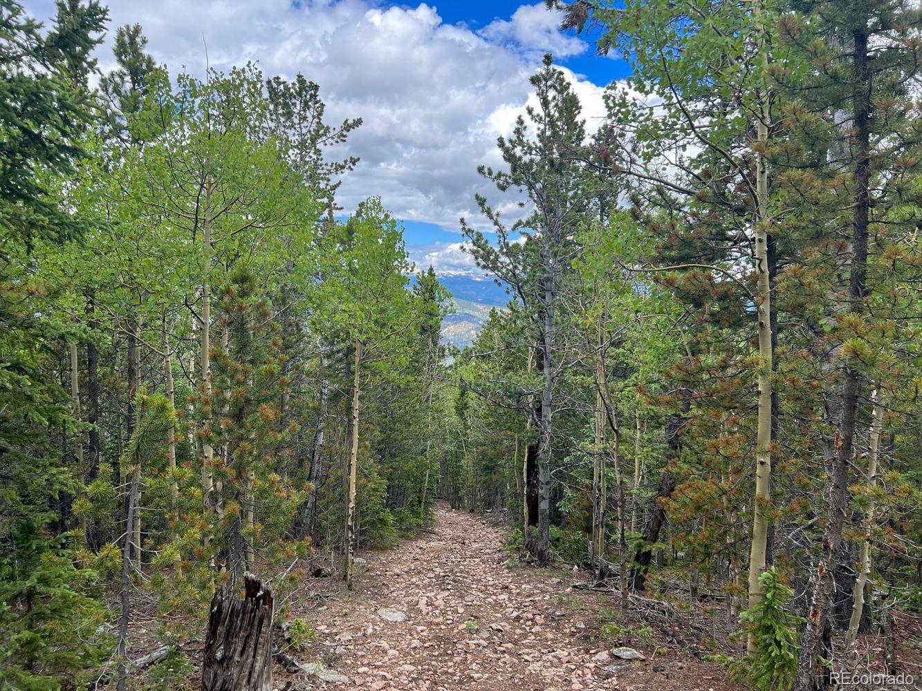 0 Hidden Wilderness Road Evergreen, CO 80439 - Photo 25 of 29
