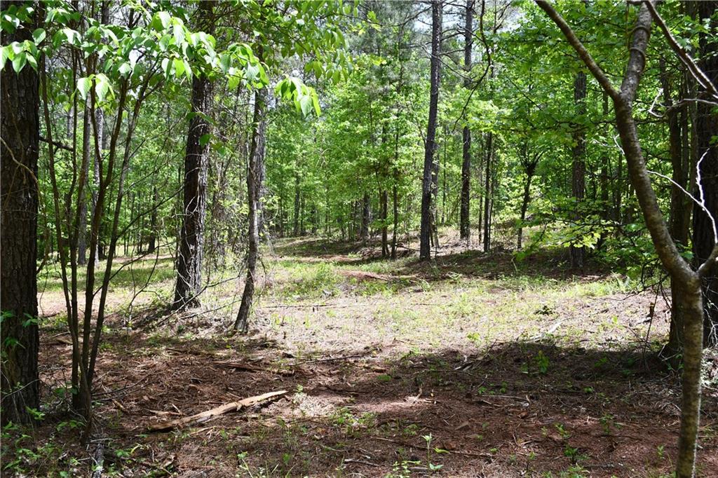 1 Wilson Road Temple, GA 30179 - Photo 56 of 88 a view of a yard with plants and trees