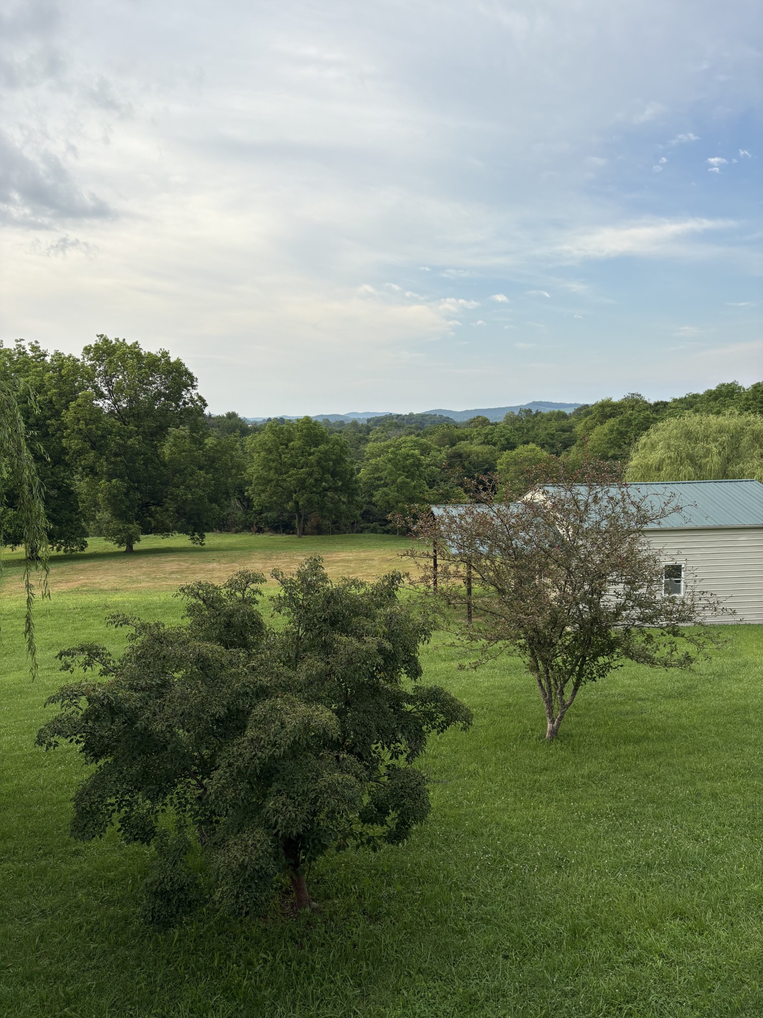 1028 Cook Road Liberty, TN 37095 - Photo 10 of 33 a view of a lake with houses in the back