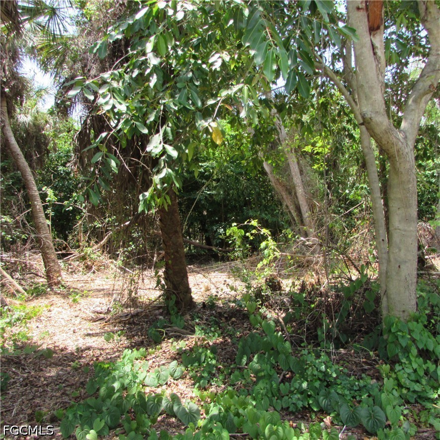 14901 Stringfellow Road Bokeelia, FL 33922 - Photo 17 of 17