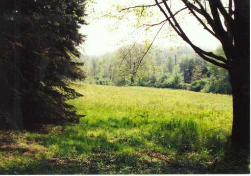 656 Mccracken Road Slippery Rock, PA 16057 - Photo 6 of 8