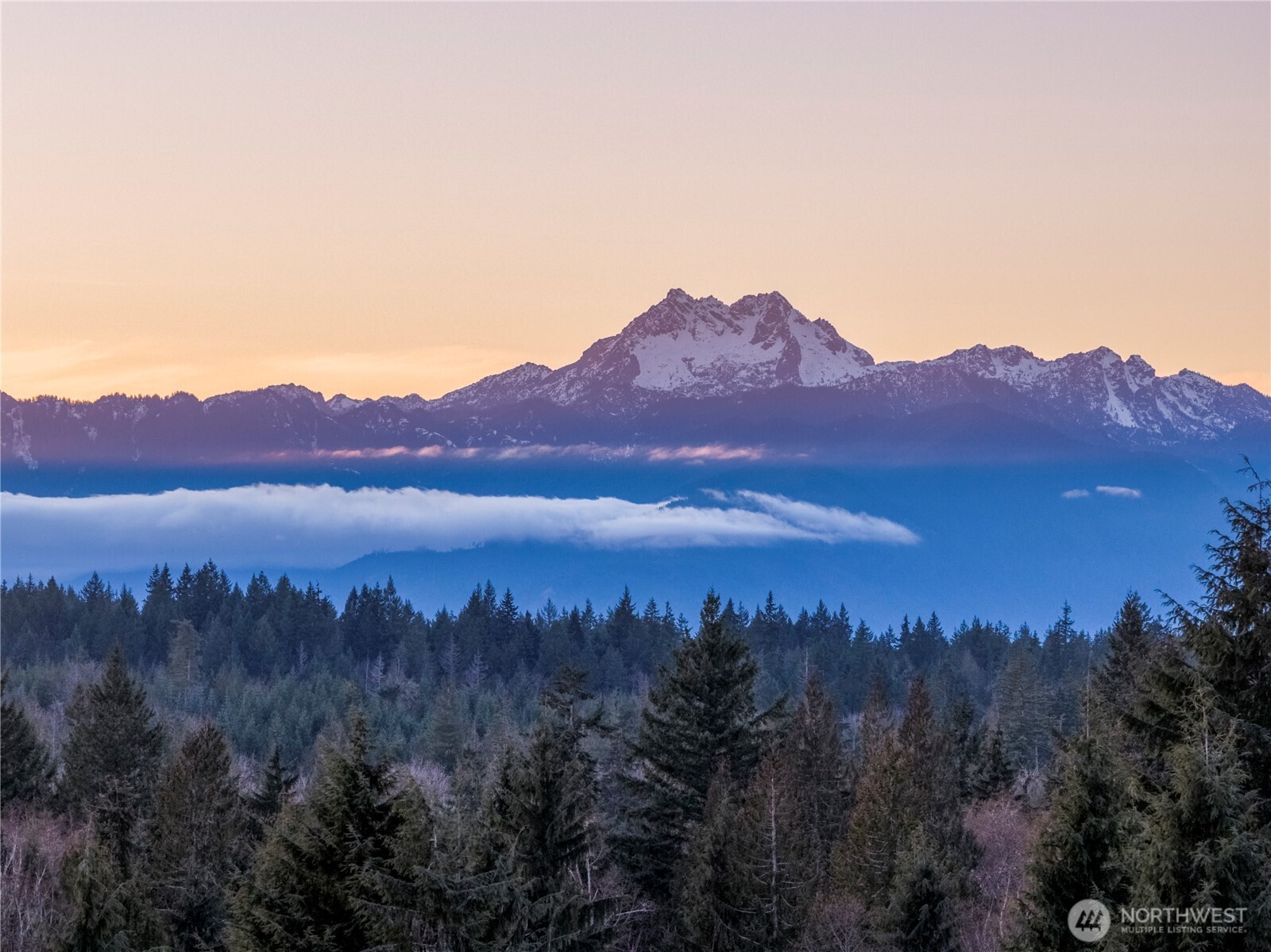 9371 Willamette Meridian Road Northwest Silverdale, WA 98383 - Photo 4 of 40 a view of a lush green hillside and a building in the background