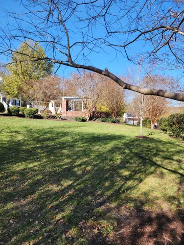 a view of a big yard