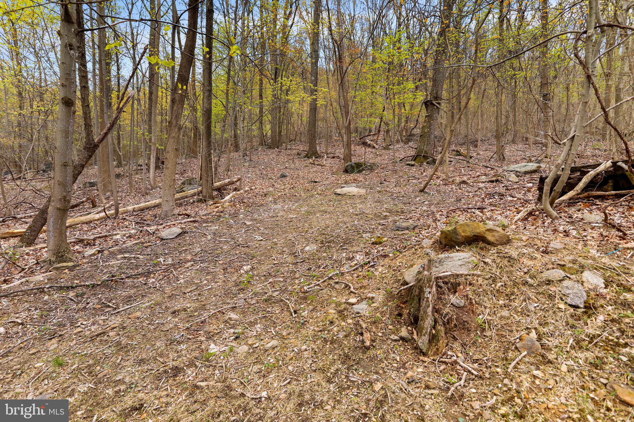 1447 Hoffmaster Road Knoxville, MD 21758 - Photo 12 of 36 Gallery Image 12
