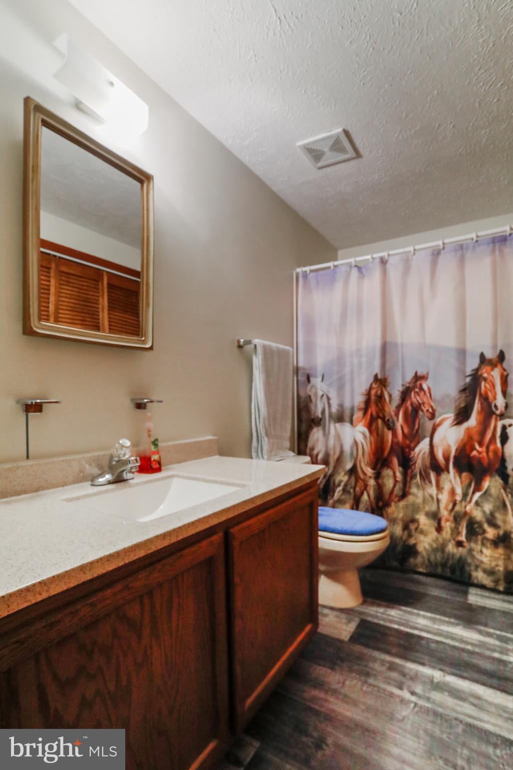 1447 Hoffmaster Road Knoxville, MD 21758 - Photo 24 of 36 Gallery Image 24