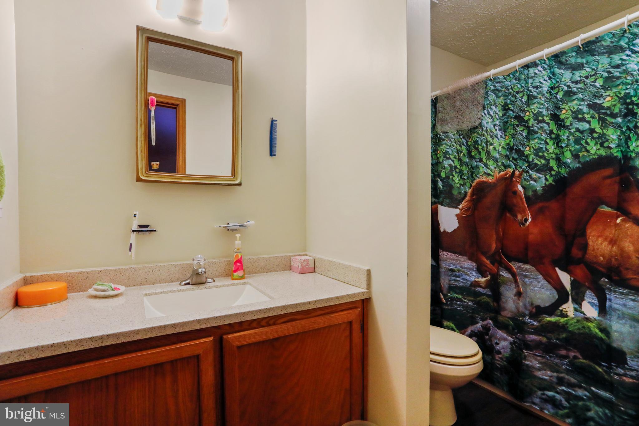 1447 Hoffmaster Road Knoxville, MD 21758 - Photo 29 of 36 Gallery Image 29