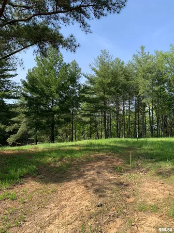 $17,500 | 4159 Evergreen Lane, Pinckneyville, IL 62274