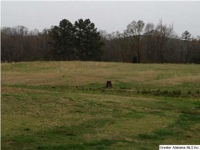 1720 Ross Lake Road Wellington, AL 36279 - Photo 29 of 32