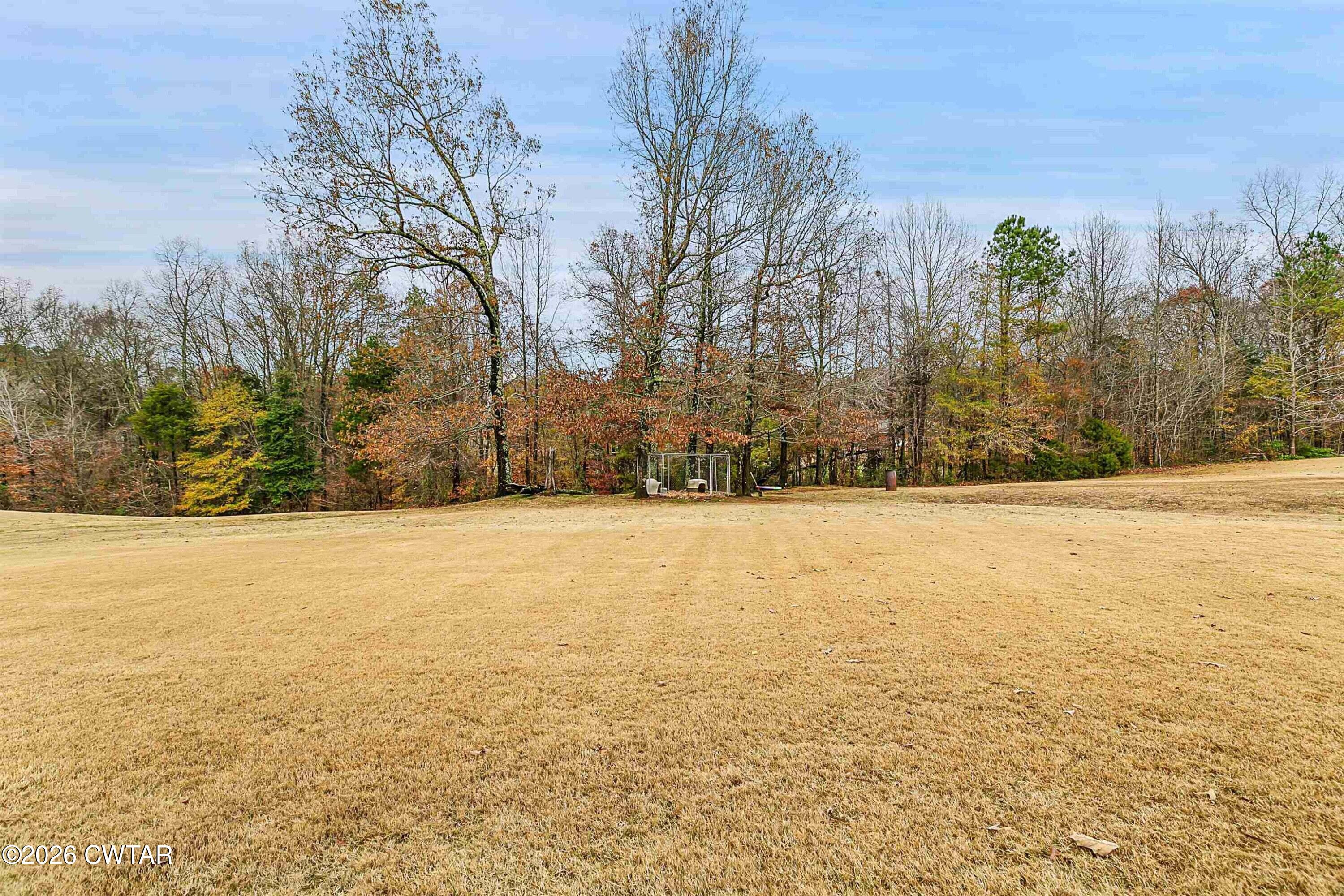 255 Oak Ridge Drive Henderson, TN 38340 - Photo 5 of 23 a view of yard with trees